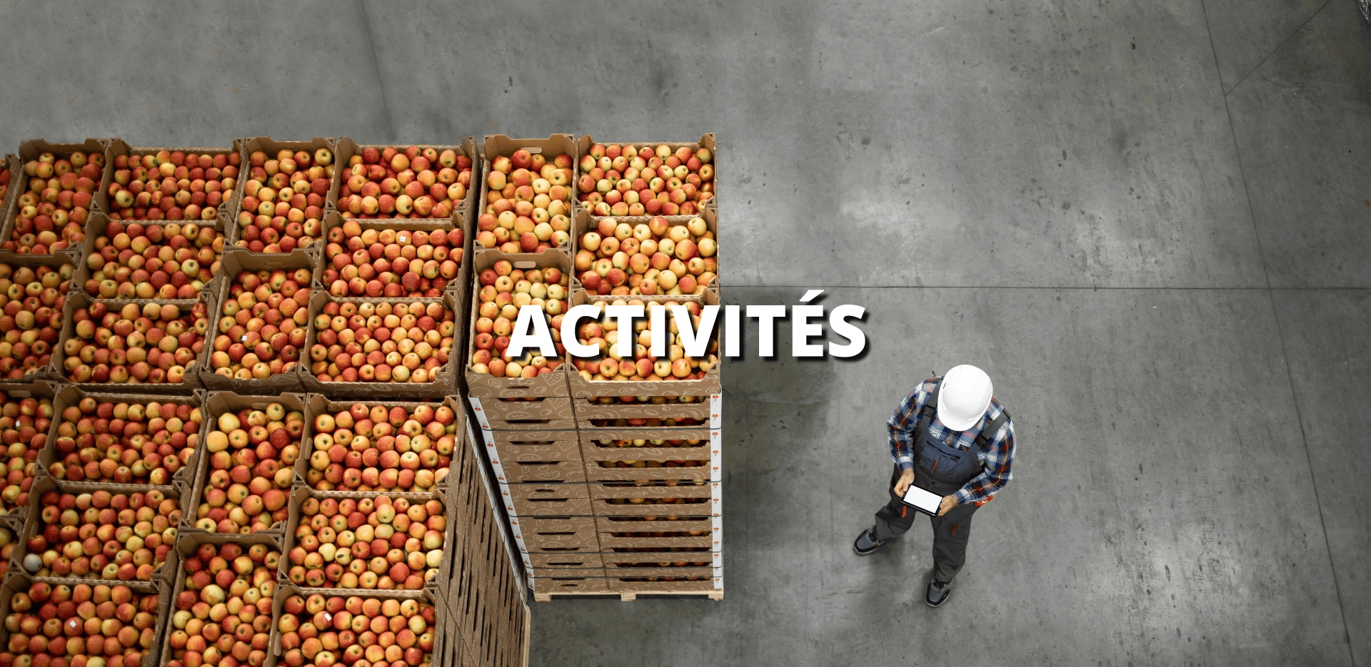 Un homme vu en plongée se tient à côté de caisses de fruits avec écrit "Activités"